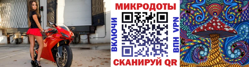 Галлюциногенные грибы мицелий как найти Бузулук